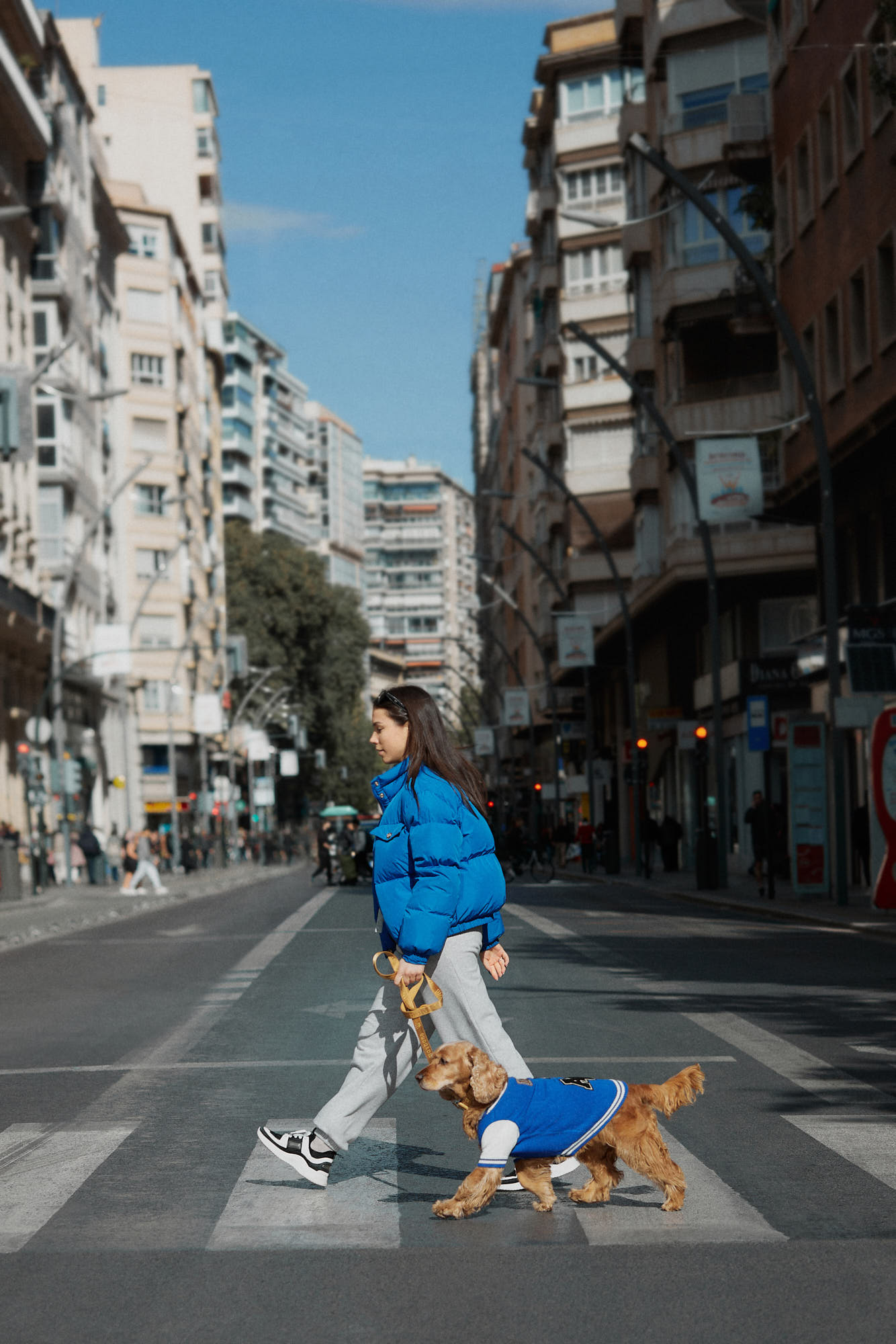 Fotografía creativa y de producto - Mascotas